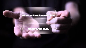 REVEAL High Frequency Seismic Processing