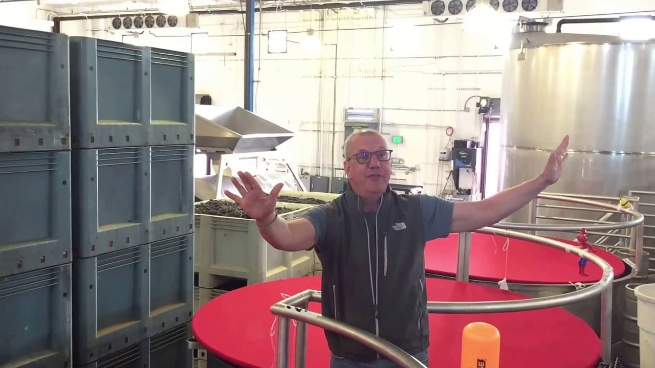 Grapes on Grapes on Grapes - Stuart Ake - Harvest 2016