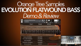 Evolution Flatwound Bass Review