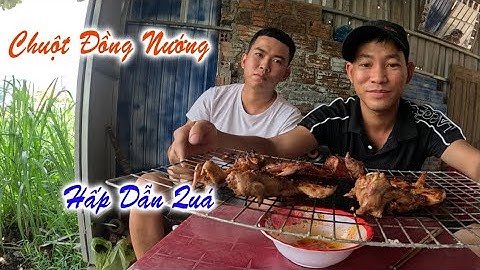 Hai Anh Em Bẫy Chuột Đồng Nướng – Món Ngon Dân Dã Đồng Quê || Cuộc Sống Vùng Quê 76