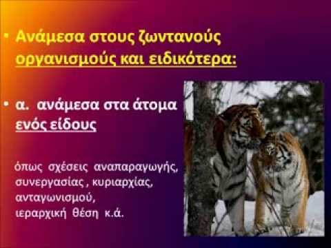 Η ΔΥΝΑΜΙΚΗ ΤΩΝ ΟΙΚΟΣΥΣΤΗΜΑΤΩΝ