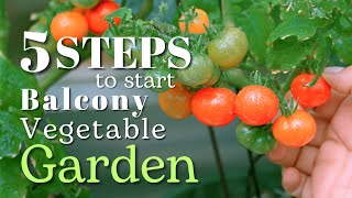 5 Steps to start Growing Vegetables on Balcony for Beginner Gardener | Tips from Real Life Practice
