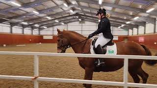 Novice 2 (2024) dressage test