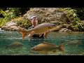 Solo Wilderness Survival: Building an Outdoor Kitchen & Catching Giant Fish