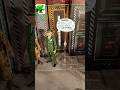 HULK Part 38: "An Idea." #actionfigureuniverse™ #superheroswagg™ #marvellegends