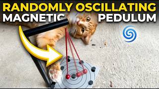 R.O.M.P: Randomly Oscillating Magnetic Pendulum Physics Toy 👉 Gadgetify