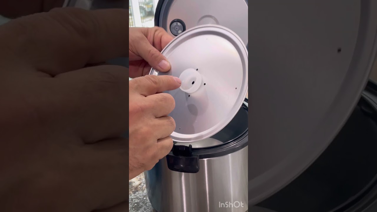 Hamilton Beach rice cooker inner lid gasket cleaning mold removal