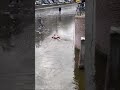 Skater takes a plunge in frozen amsterdam canal shorts  humorstack