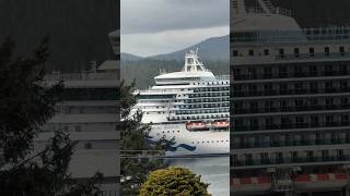 Supply Vessel | Bulk Carrier | Passenger Ship | Boat