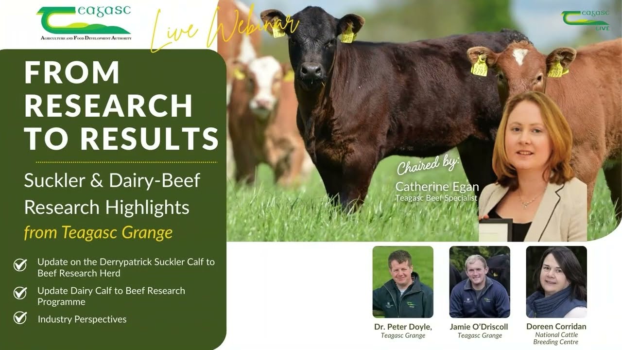 From Research to Results - Suckler & Dairy Beef Research Highlights from Teagasc Grange