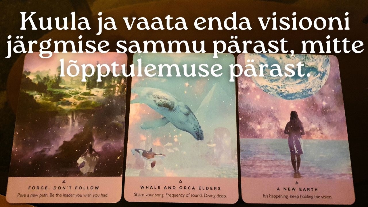 Mis siis kui visioon on juba olemas?