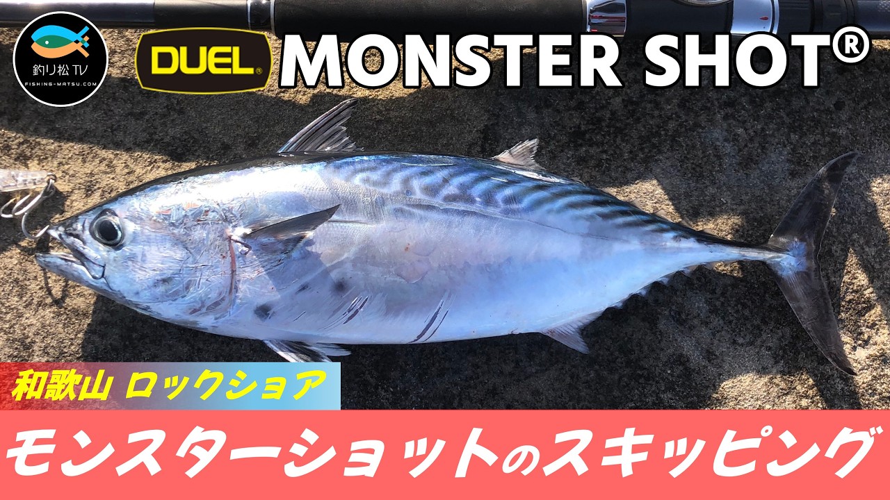 モンスターショットの威力 南紀 和歌山で青物狙いのショアジギング