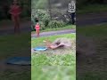 Short Video Short Video