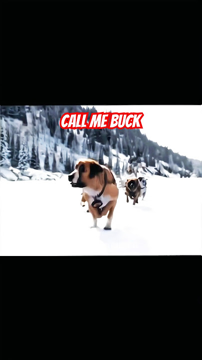 Anjing pintar dan pemberani menyelamatkan semuanya #comedyeffect