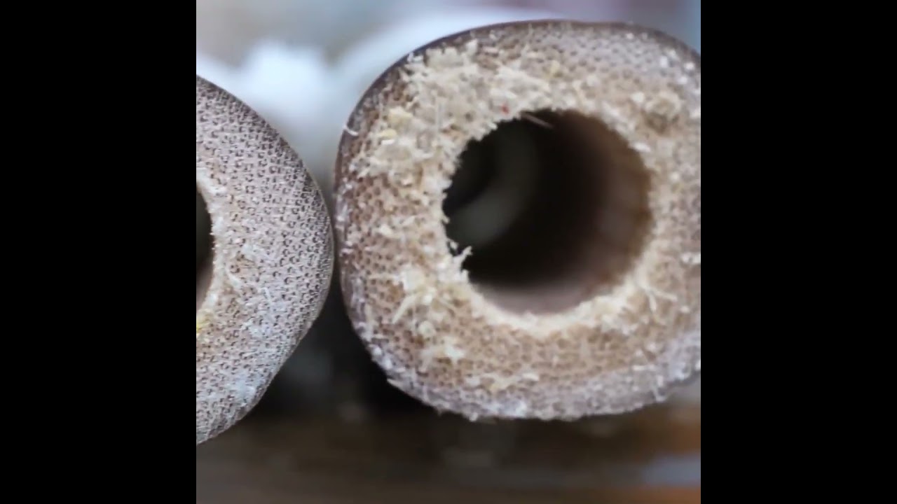 From Wild Bamboo to a Flute That Sings | Incredible Handcrafted Process