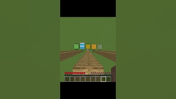 Minecraft Fall Damage Check | Don