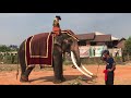 ตอนที่ 5 พระเอกมาจนได้ .... 13 มีนาคม 2562 วันช้างไทย elephant day*-*