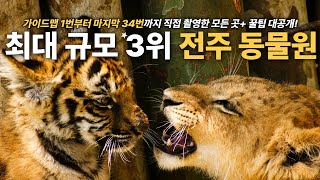 전주가서 전주동물원 안 가면 완전 손해!  -  직접 다 찍은 가이드맵 장소 1~34번 모든 곳 +주차 + 요금 +꿀팁