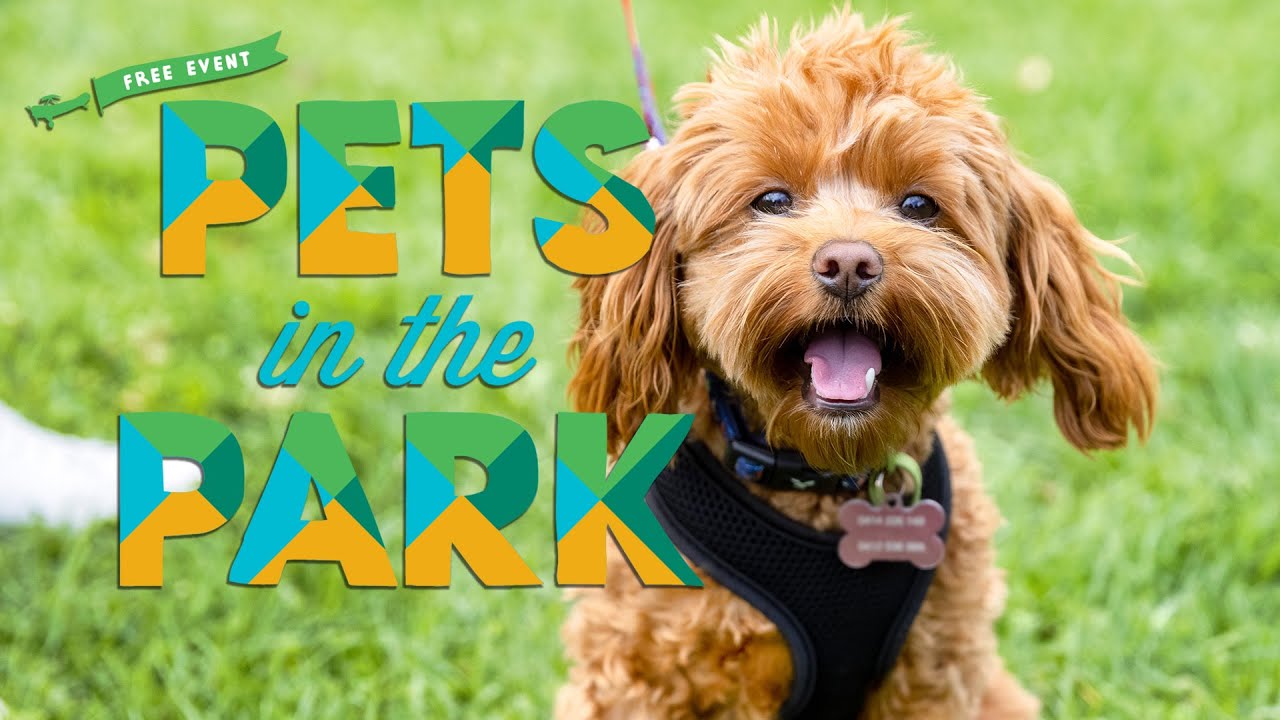 Pets in the Park 2022 YouTube