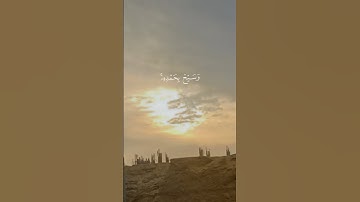 آيات القرآن الكريم #قران_كريم #قصص #دويتو #المصحف #قران #راحة_نفسية #تلاوة_خاشعة  #المدينة_المنورة