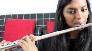 Story of my life - One Direction Flute Cover chords