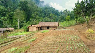 FULL VIDEO/ 60 days: Restore & Build Abandoned Farm (Free) | Growing - Harvesting