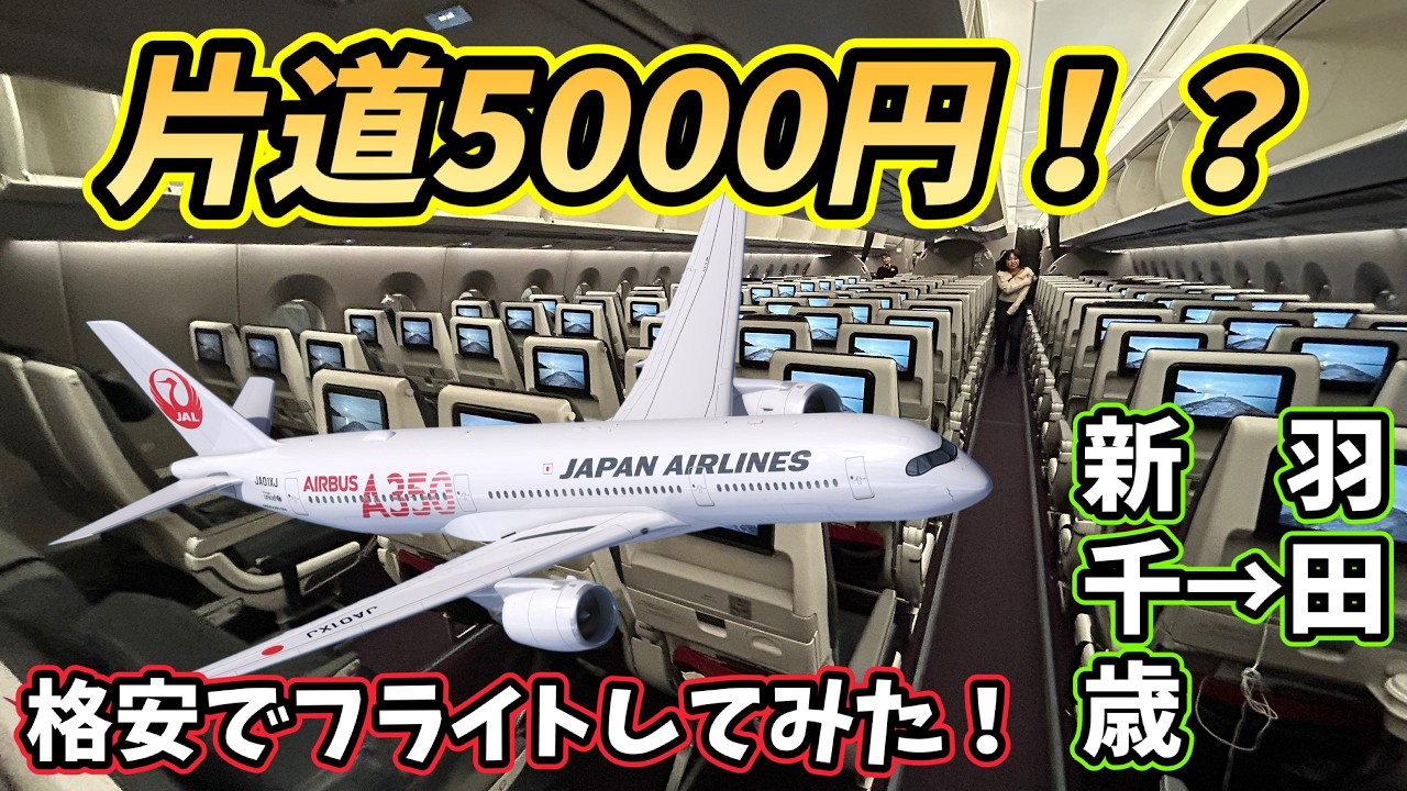 JALカードスカイメイトを利用して格安でフライトしてみた‼️ #スカイメイト #jai