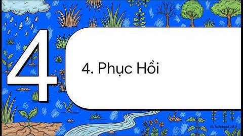 Thảm thực vật bị thiệt hại trên diện rộng ở Nội địa Châu Á do hạn hán khắc nghiệt năm 2022