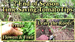 The No Dig 'Leave in the Roots' 20 Minute Winter Bed Preparation & Fall Tomato Flower Pruning Method