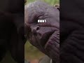 What Really Happened When Thanos Snapped In Infinity War