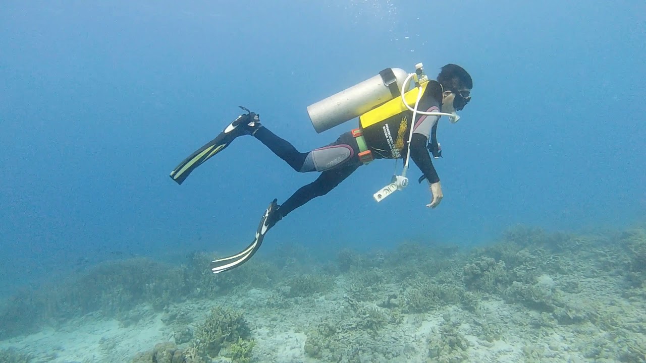 Slow Motion Open-water Dive