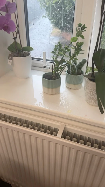 Trapped in the Office During a Storm in Bournemouth 🌧️