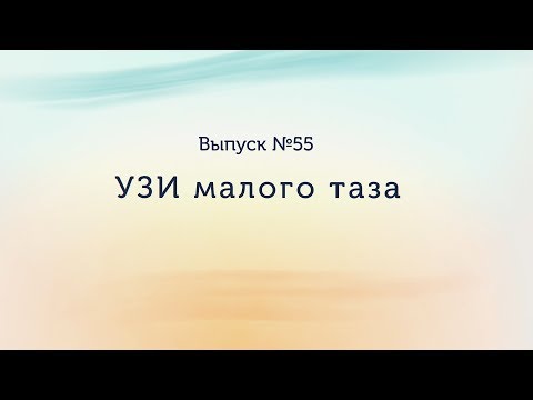 УЗИ малого таза