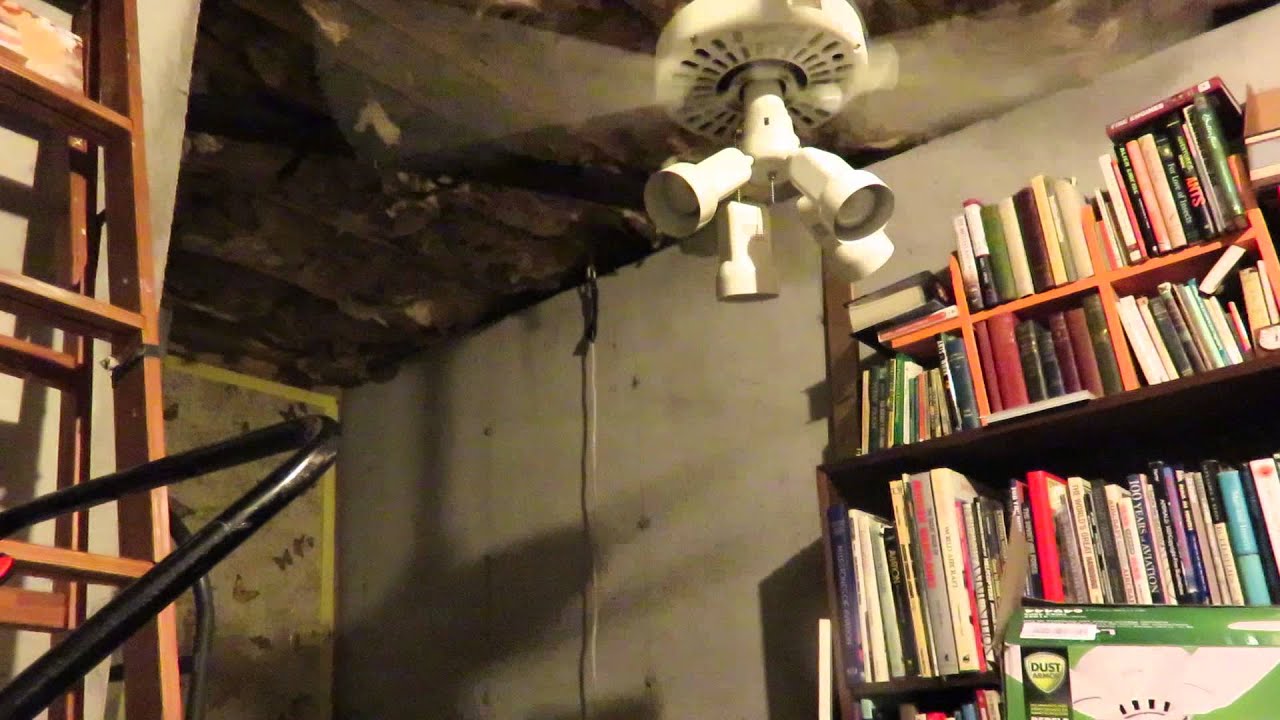 White Hunter Original Ceiling Fan With Spotlight Kit You White Hunter Original Ceiling Fan With Spotlight Kit