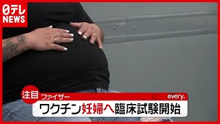 安全性や効果は？ 妊婦へ“ワクチン臨床試験”が開始　米・ファイザー（2021年2月19日放送「news every.」より）