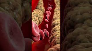 Apo B : numero di LDL nel sangue