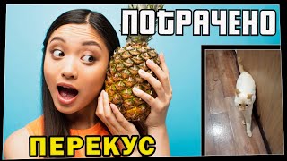 Потрачено. Перекус. Лучшие приколы 2021, смешные видео и фейлы