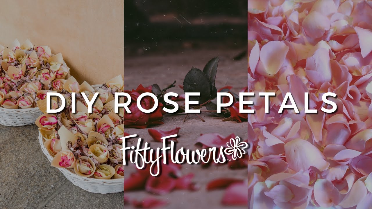 All Flowers Whole Bulk Fiftyflowers