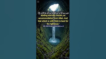 القرأن الكريم سورة ال عمران الأية 198 Quran Translated to English #quran #relaxing