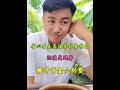 腾冲租了套小别墅,从山野梦到智能门卡,开启沉浸式避暑 #万万没想到 #日常vlog #旅行推荐官