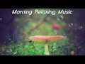Beautiful Morning Music Peaceful Piano Music helps relieve stress, relax, heal, and meditate