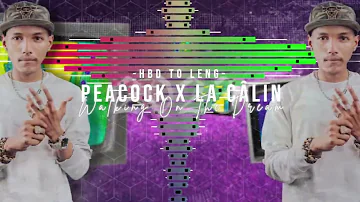 Peacock x La Câlin Walking On The Dream 2023 - BenzStudio RMX ( HBD To Leng )