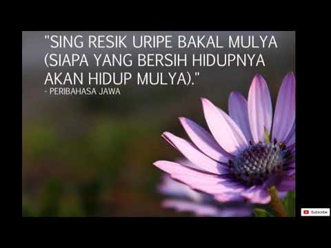 Kumpulan Kata Kata Psht Yang Menyentuh Hati Dan Romantis Youtube