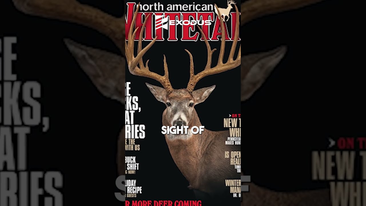 The NEW Pa State Record Buck Shot In The 60's?