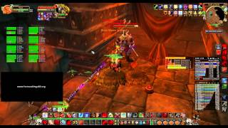 BWL: Honorable vs Broodlord Lashlayer (3/8)