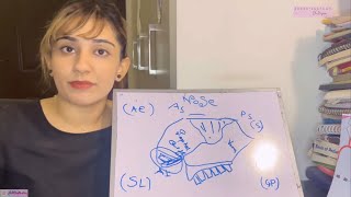 Nose Anatomy | Nasal Cavity | Nasal Septum | Little’s area | Kiesselbach plexus CONCEPT