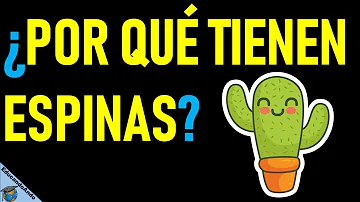 ¿Por qué las plantas tiene espinas?