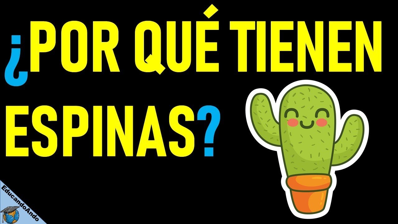 Para qué sirven las flores de los cactus? La verdad oculta detrás de sus  asombrosos pétalos – Enséñame de Ciencia