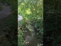 Meaka/Irun