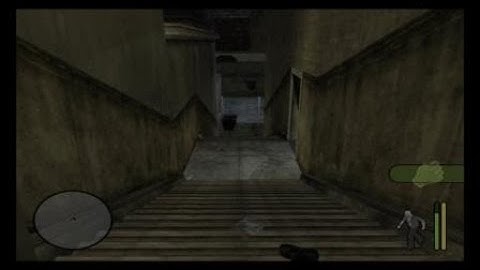 A gruesome execution (Manhunt)